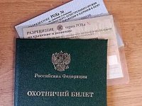 Через какое время можно получить право на приобретение охотничьего оружия с нарезным стволом?