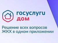 Более 184 тысяч жителей Саратовской области пользуются приложением «Госуслуги.Дом»