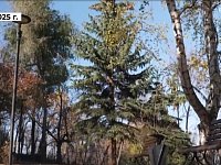 Около реабилитационного центра для участников СВО создан новый сквер