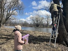 В заказнике "Центральный" разместили сделанные школьниками скворечники