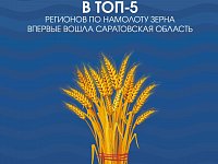 Саратовская область впервые вошла в топ-5 регионов РФ по намолоту зерна 
