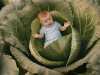 Саратовцам предлагают познакомиться с возможностями нацпроекта "Семья"