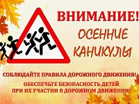 Осенние каникулы под защитой ГИБДД