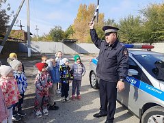 Экскурсия в мир безопасности дорожного движения