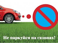За газон ответите:  в Саратовской области  штрафуют за парковку  на зеленых зонах