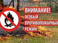 На территории Саратовской области на землях лесного фонда устанавливается особый противопожарный режим