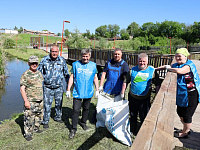 День совместных усилий и благоустройства