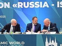 Игорь Комаров участвует в работе Группы стратегического видения "Россия – Исламский мир"