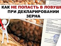 Сообщение о правилах и ошибках при декларировании зерна