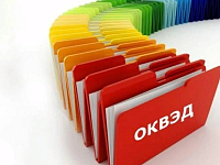 ФНС России напоминает, как вносятся коды ОКВЭД в реестры ЕГРЮЛ и ЕГРИП