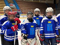 Саратовские хоккеистки поборются за "Хрустальную тиару"