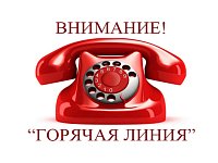 Минпромэнерго: для жителей работает "горячая" телефонная линия по вопросам электро- и газоснабжения