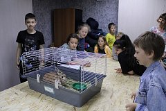 Юные саратовцы включились в "Марафон зеленых дел"