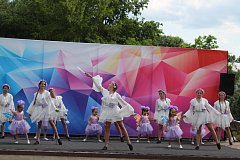 Ромашковое счастье 