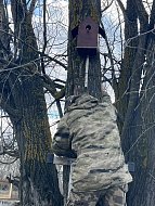 В заказнике "Центральный" разместили сделанные школьниками скворечники