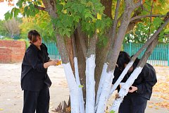 В Саратовской области стартовал осенний месячник по благоустройству