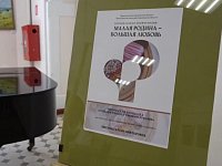 Более 40 тысяч человек стали участниками масштабной конференции "Малая Родина — большая любовь"