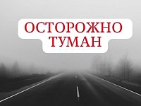 ГИБДД - водителям и пешеходам: быть предельно внимательными на дорогах в туман