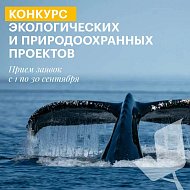 Саратовцев приглашают принять участие в конкурсе экологических и природоохранных проектов