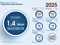 Итоги работы Службы 112 за 2025 год