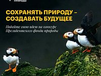 Саратовцев приглашают принять участие в конкурсе экологических и природоохранных проектов