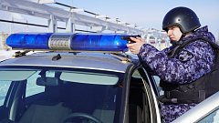 29 октября профессиональный праздник отмечают сотрудники вневедомственной охраны Росгвардии