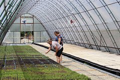 Модернизация тепличного комплекса в Красноармейске