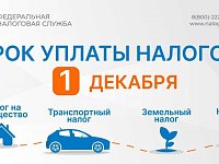 Сроки уплаты налогов физического лица